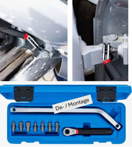 Werkmeister "Türschanier PLUS"